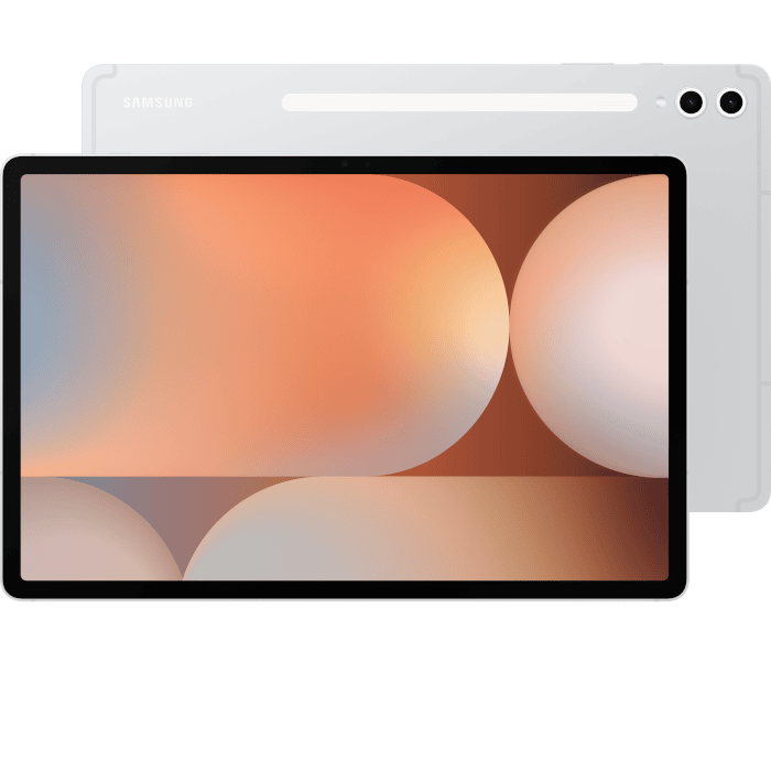 Samsung Galaxy Tab S10 plus (Platinum Silver, 12GB, 256GB, Wi-Fi)